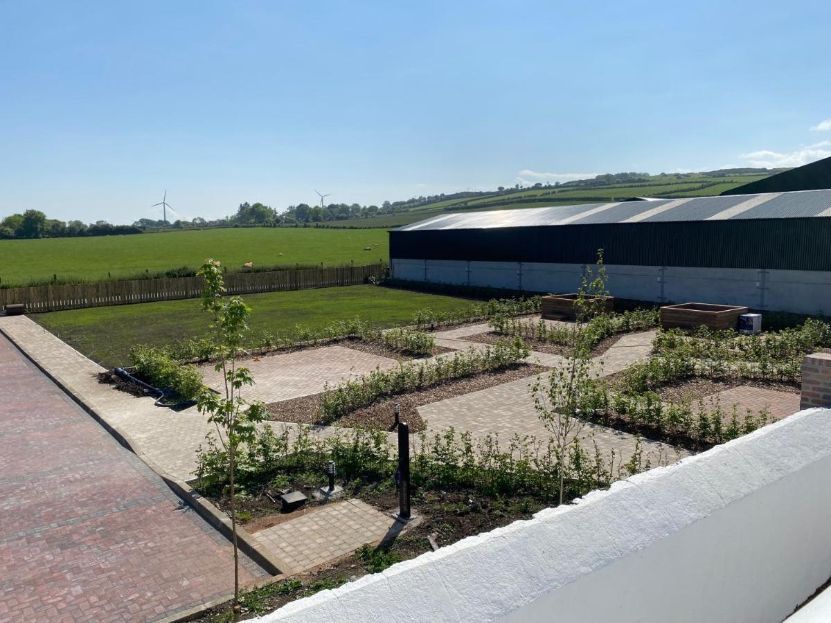 Ballymullock Barn Lofts Carncastle Extérieur photo